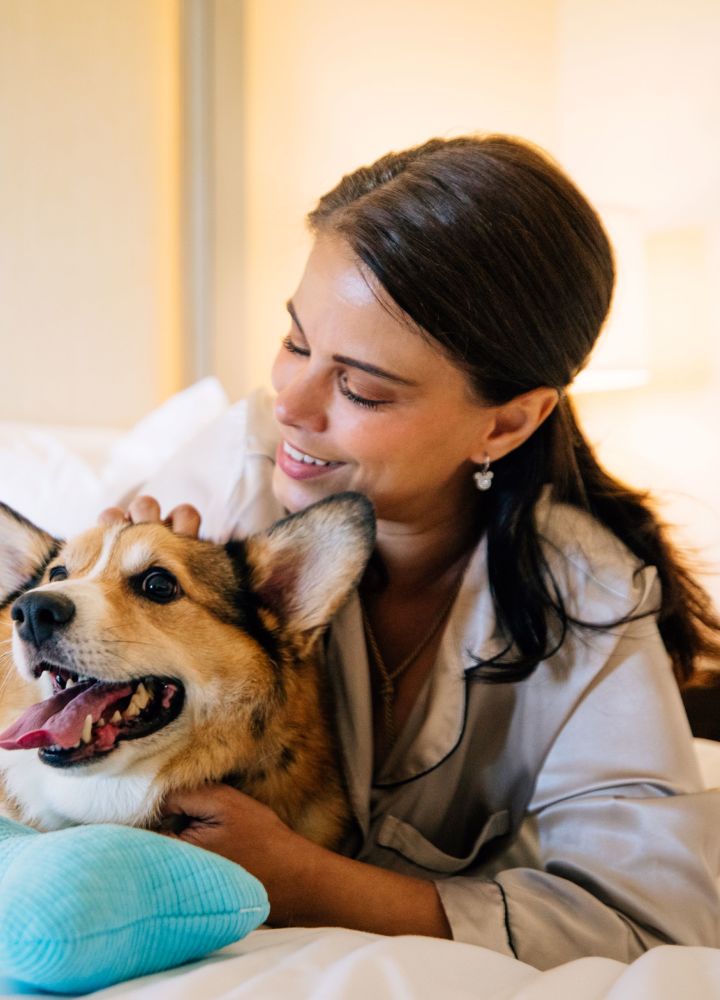 client caressant un petit chien