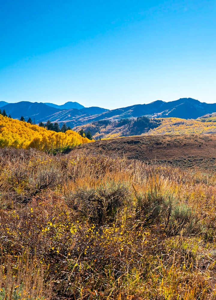 Tre mountain biker corrono su un sentiero autunnale circondato da montagne