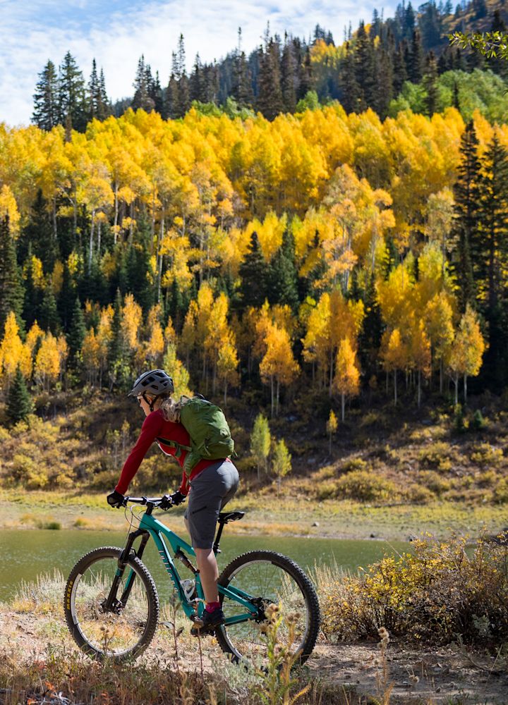 Giro di coppia in bicicletta in una zona con alberi che cambiano colore durante la stagione autunnale