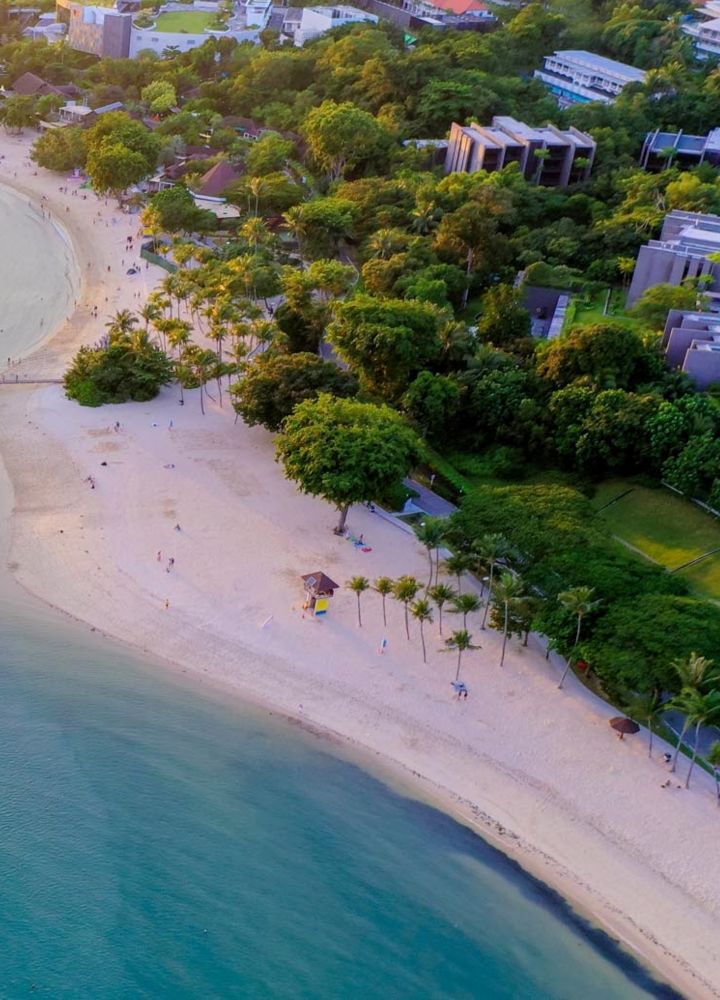 Widok z góry na plażę z wodą i drzewami