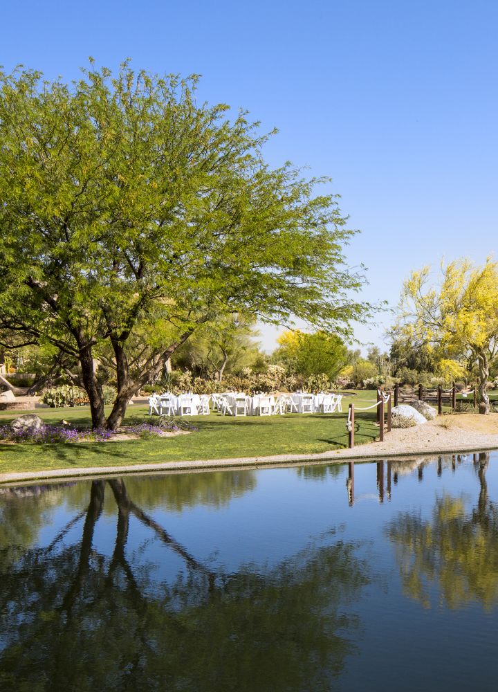 acara luar ruangan di tepi kolam