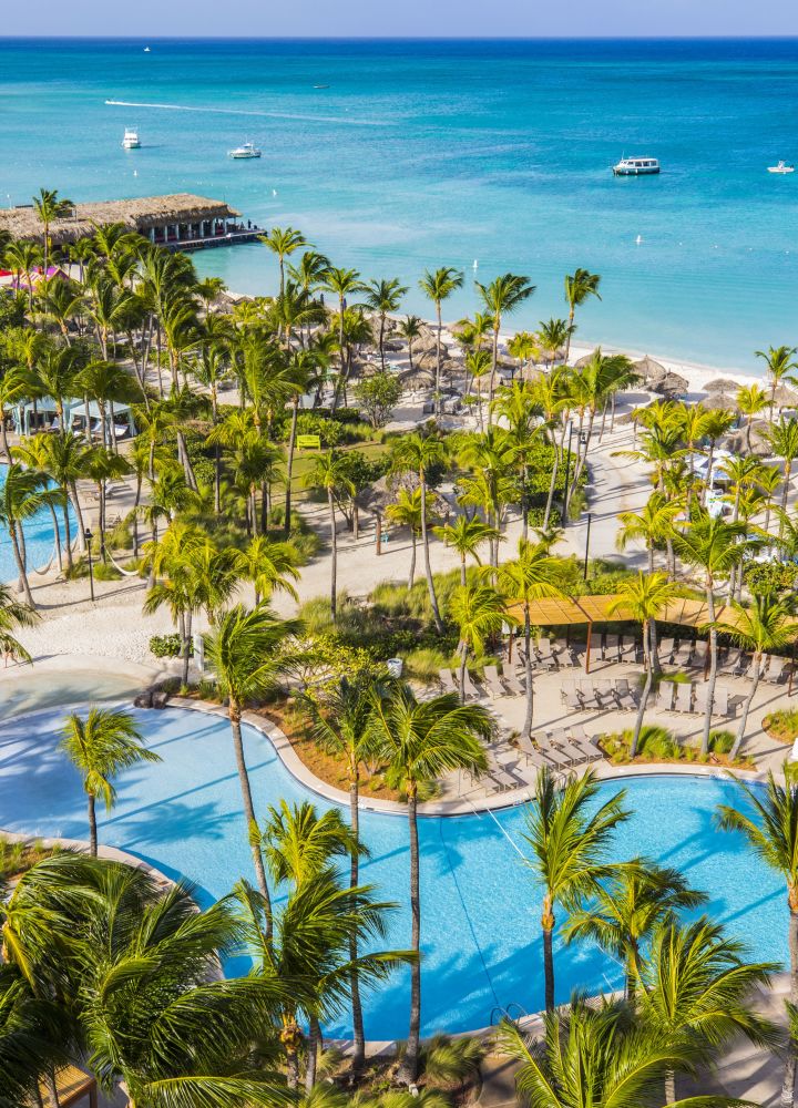 Uitzicht van bovenaf van het met palmbomen omzoomde zwembad bij Hilton Aruba, met de blauwgroene oceaan op de achtergrond.