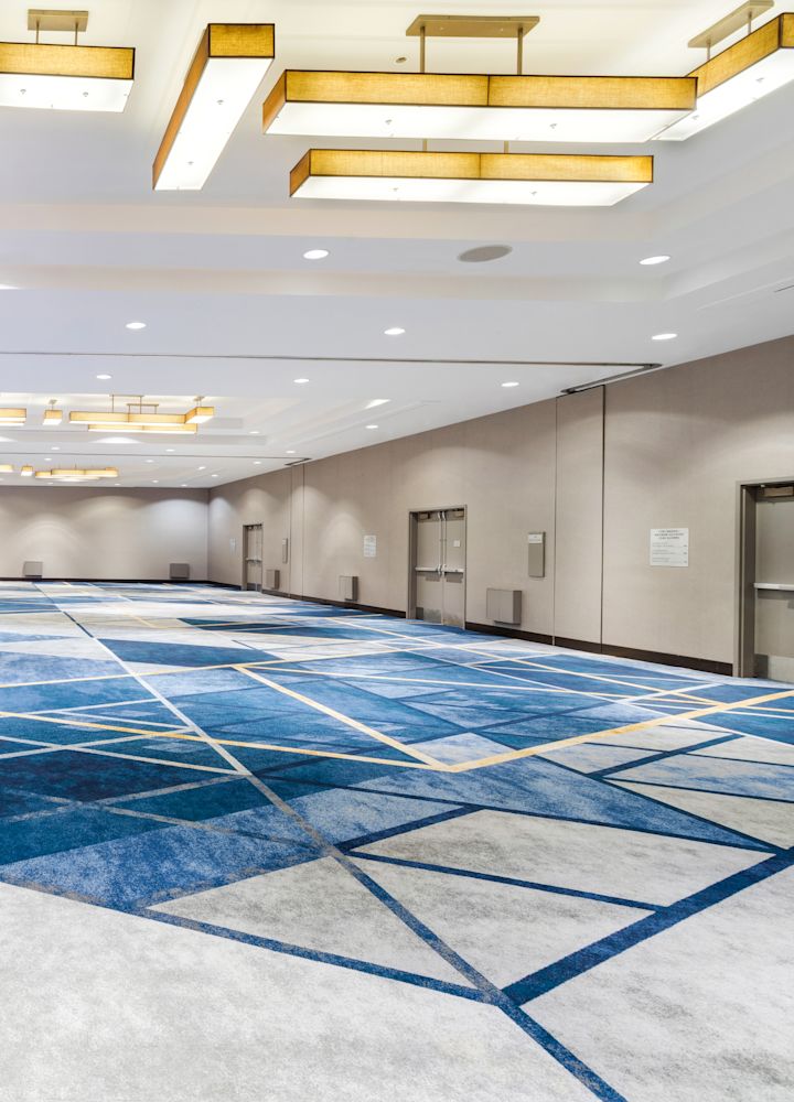 Vedere din spate a spațiului de întâlnire cu pluș Cyril