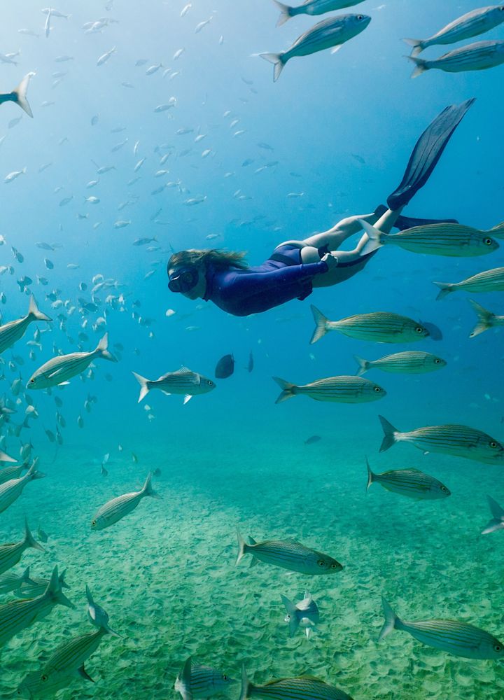 Nature's photography at Waldorf Astoria Los Cabos