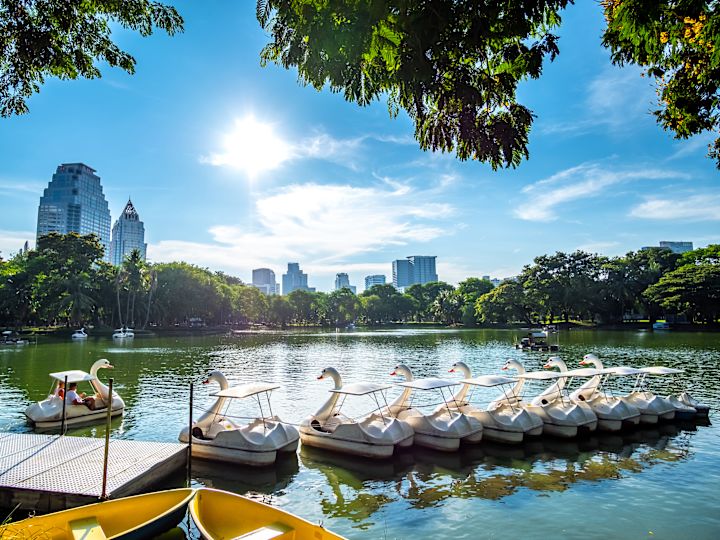 Paddle Boats at Lumphini Urbar Oasis