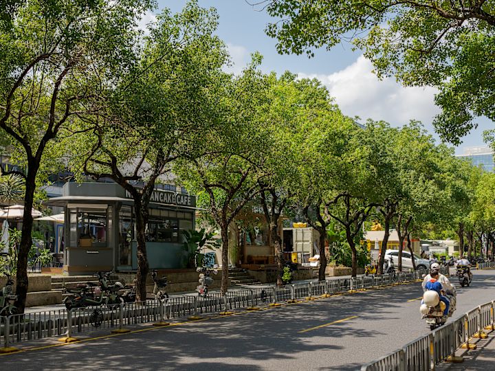 Ağaçlar ve bir Cake Cafe bulunan bir Sokaktaki motosikletler