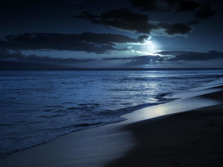 Beachfront bathed in moonlight