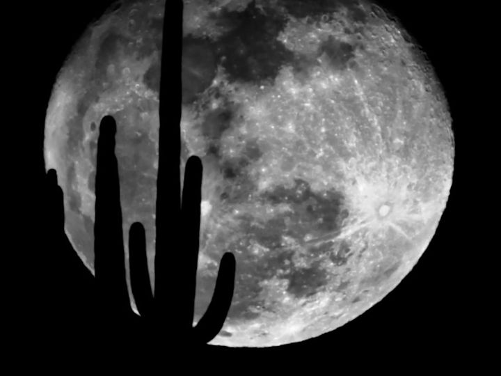 Stargazing Activity