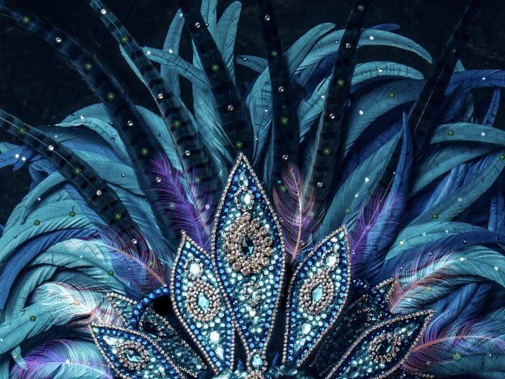 Des plumes colorées pour un costume de samba