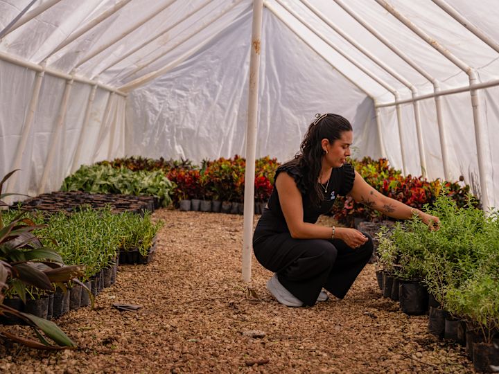 Woman picking plants in greenhouse