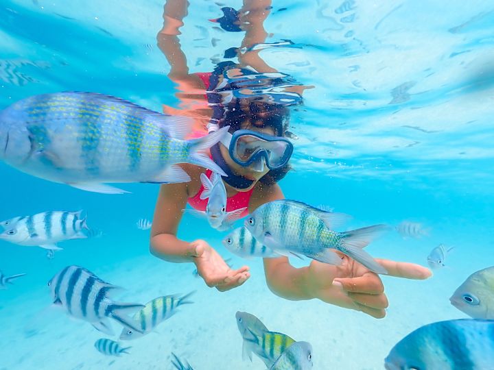 Woman Snorkeling and Looking at Fish under Water