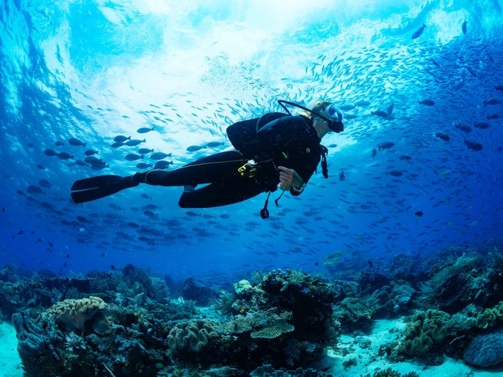 Mergulho nada sobre corais em silhueta ao sol