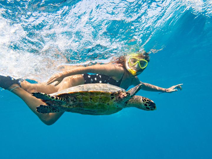 Person snorkeling with a sea turtle