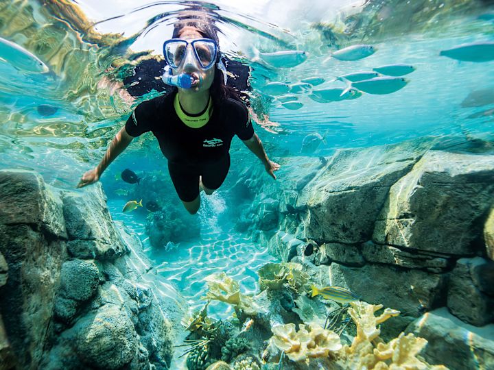 Mujer buceando con esnórquel en un arrecife de coral
