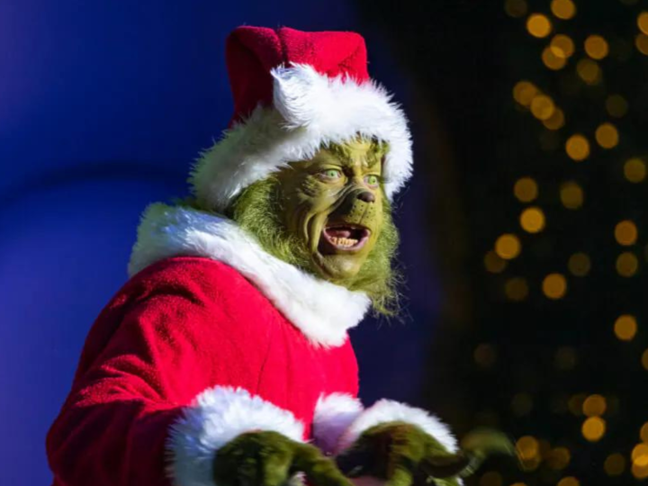 Grinchmas lifestyle image of person dressed as Grinch