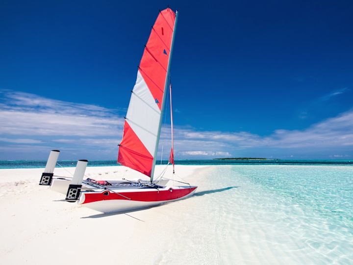 Wind surfing vessel sitting on the beach shore