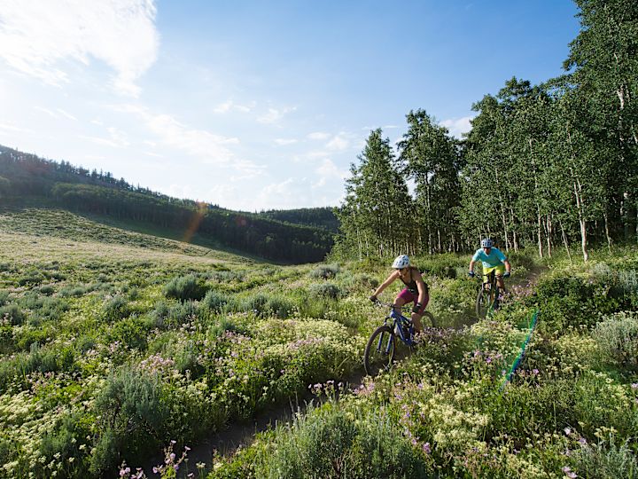 People Riding Bikes on a Mountain Trail