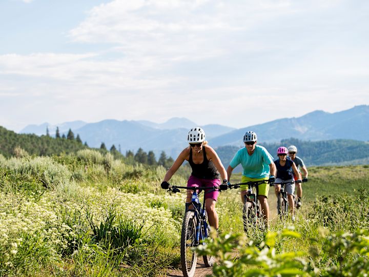 People Riding Bicycles on a Mountain