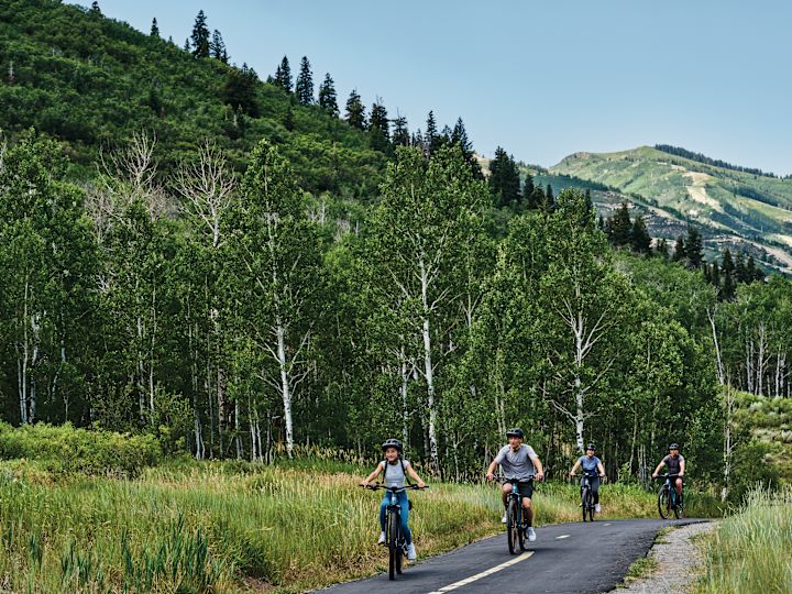 A Group of People Riding Bicycles Outdoors 