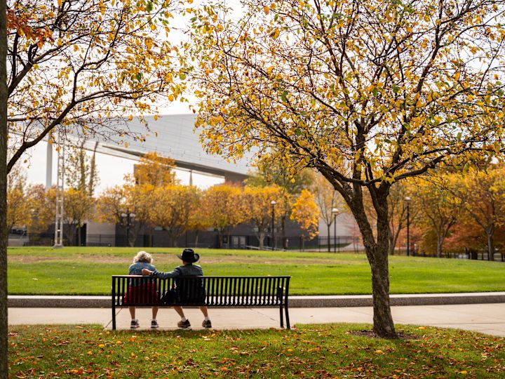 Couple sitting on a bench in a park with leaves on the ground