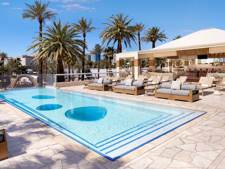 屋外テラスプール、ラウンジチェア、プールバー、ヤシの木