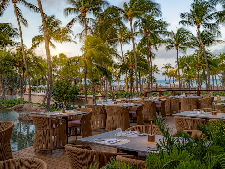 Yemek için Masa Düzeni, Palmiye Ağaçları ve Su Özelliği Bulunan Sunset Grille Teras