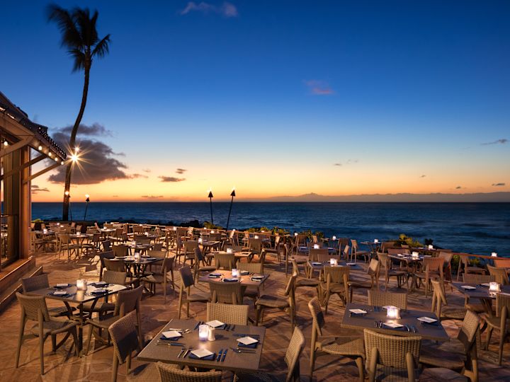 Restaurant Dining