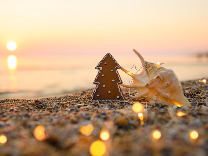 Gingerbread Cookie and Seashell at the beach