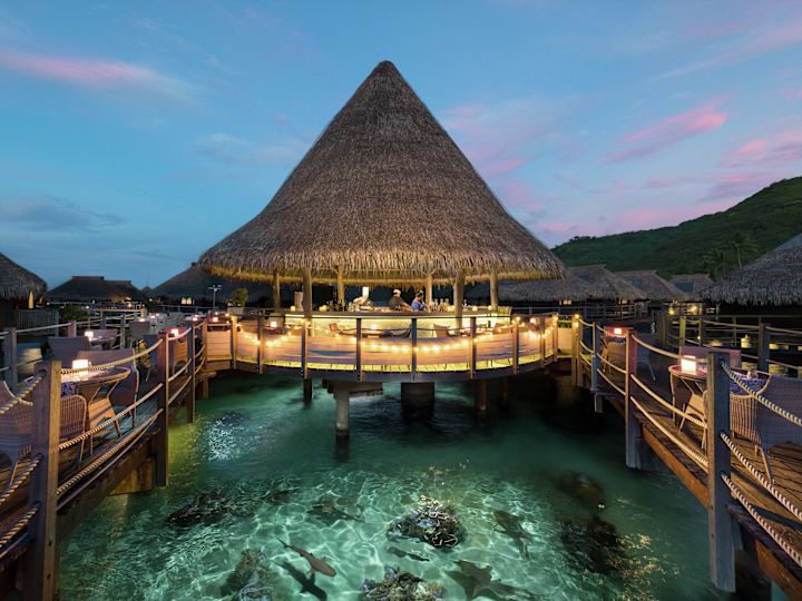 Bar with Seating Area Over Water with Sharks