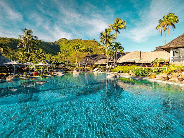 Photo de la piscine avec palmiers et colline en arrière-plan