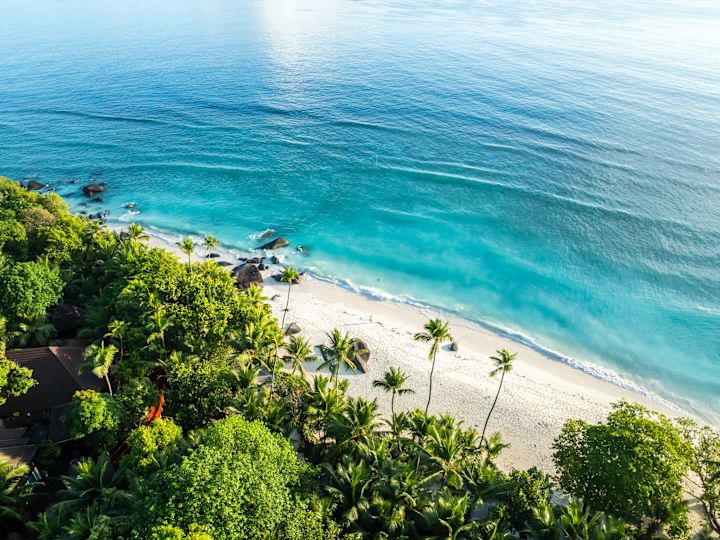 View of a Beach with Palm Trees and other Tropical Vegetation