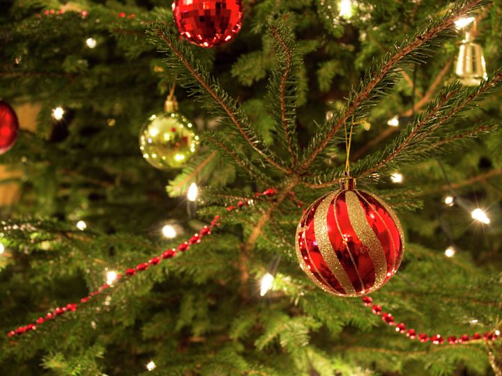 Close up of Christmas Tree with Red Ornaments
