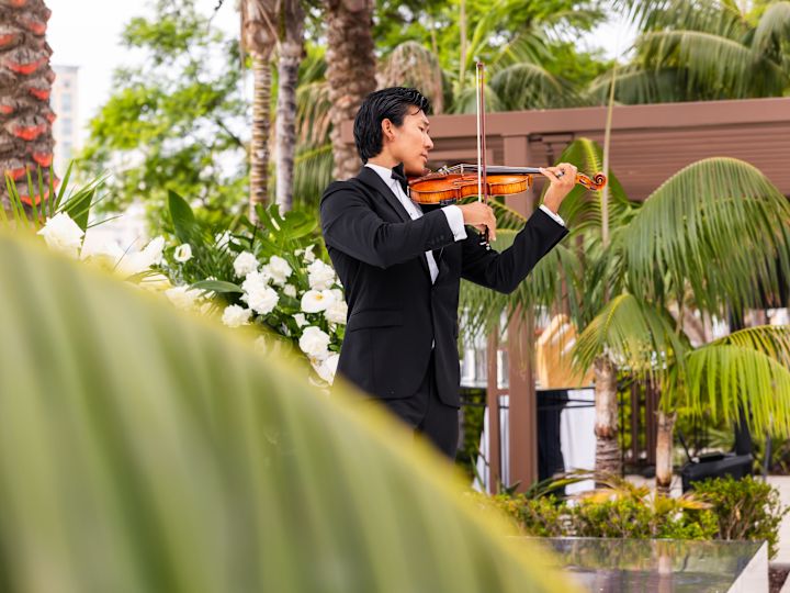 Pemain biola yang tampil di sebuah acara