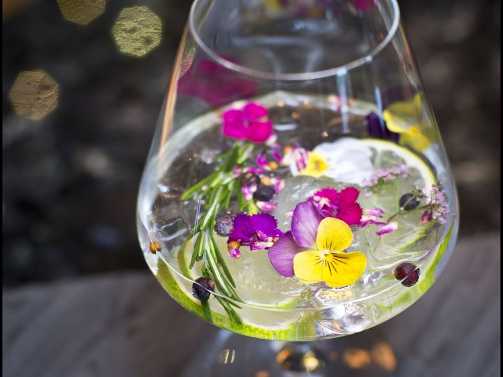 Shot of glass of gin and tonic with flowers in it