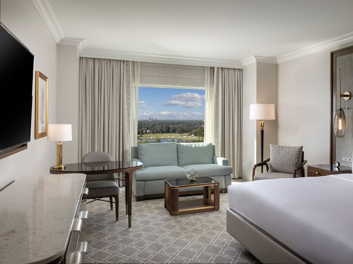 guest room, 1 king bed, tv, work desk, sofa, window view of the park