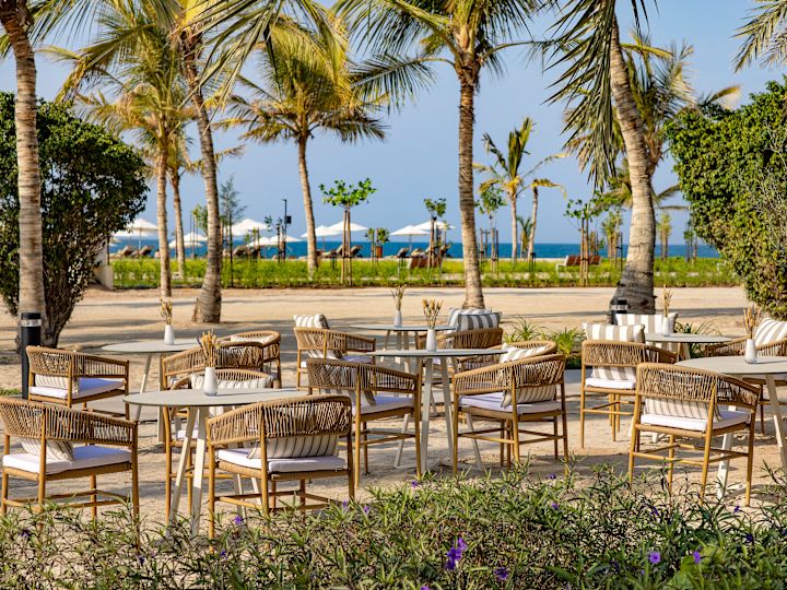 Palm Shore