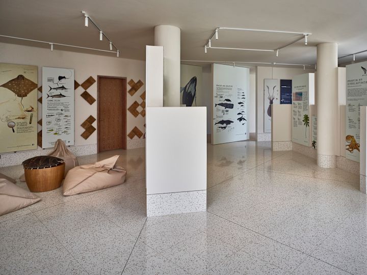 مركز ديسكفري