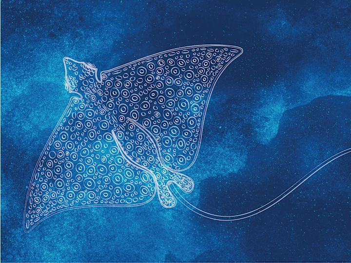 Sting Ray Graphic in the ocean