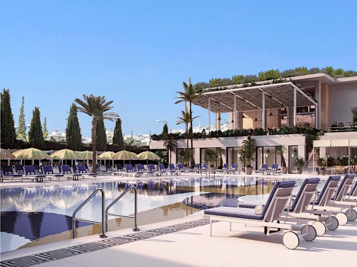 Swimming pool with several loungers and palm trees