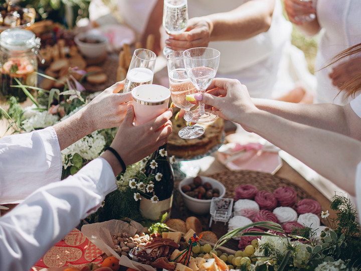 Guest picnic, toasting with champagne