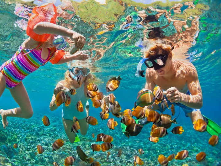 Family swimming underwater with fishes