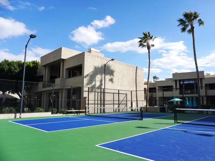 Sports courts with palm trees