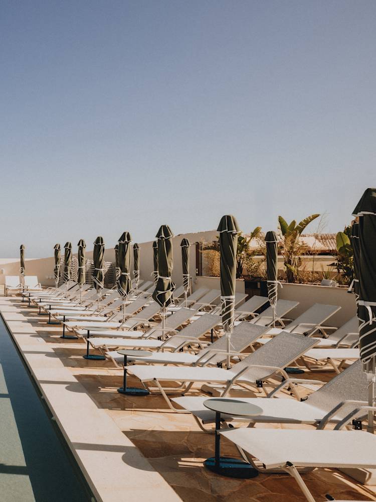 Outdoor pool with loungers