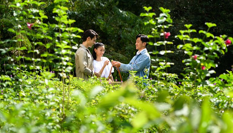 식물을 걷고 있는 여성과 두 남성
