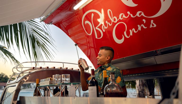 Barman cu shaker în spatele barului