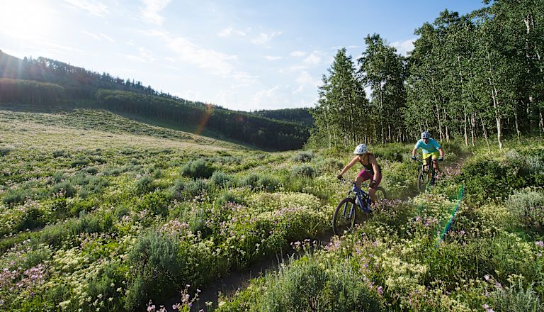People Riding Bikes on a Mountain Trail