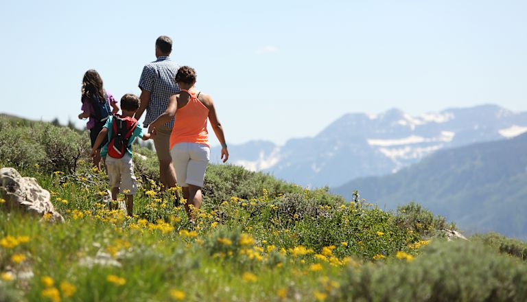 Family Taking a Hike on a Mountain in the Spring