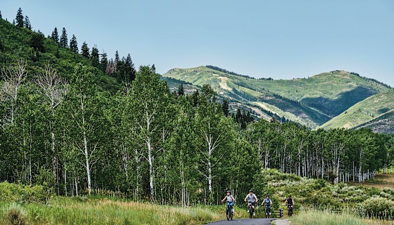 A Group of People Riding Bicycles Outdoors