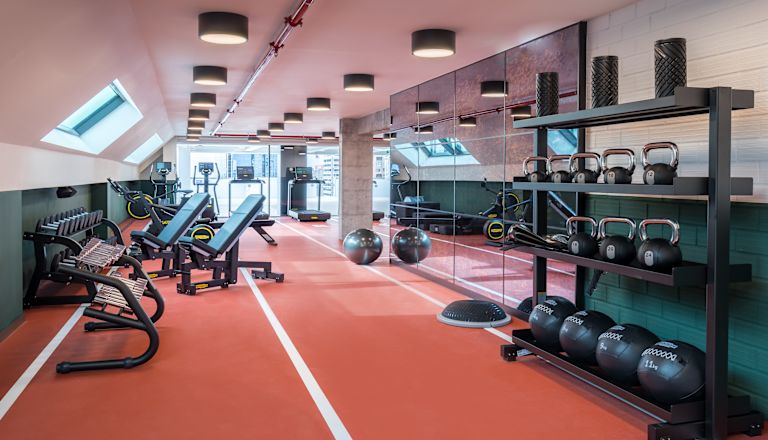 Gimnasio