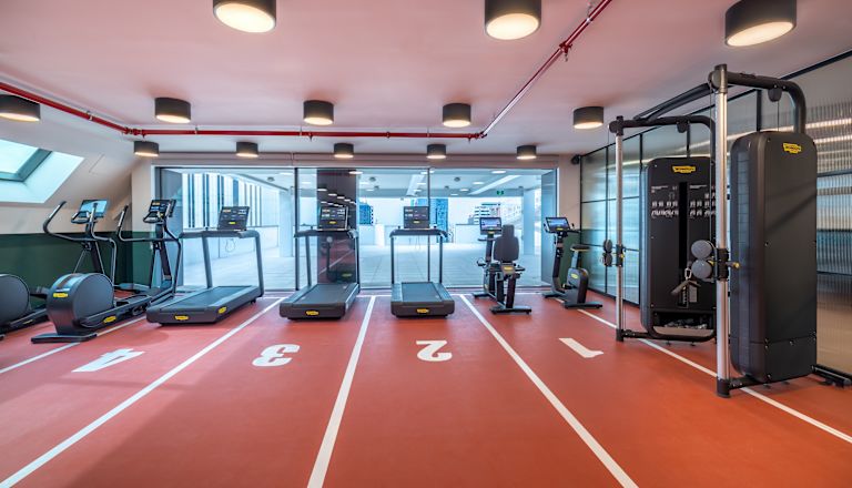 Gimnasio